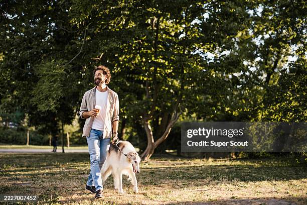 man walking with borzoi dog in park and drinking takeaway coffee - dog walking stock pictures, royalty-free photos & images