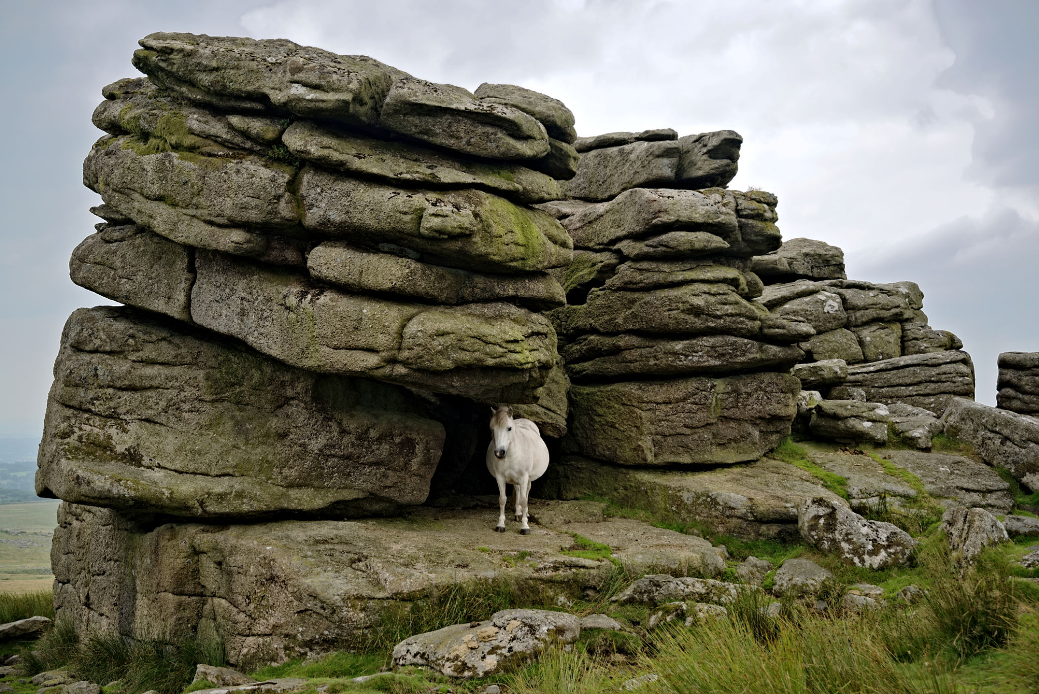 dartmoor national park