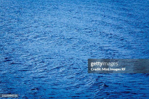 sunlight on the surface of the sea, windblown effect and ripples radiating out - north pacific ocean stock pictures, royalty-free photos & images