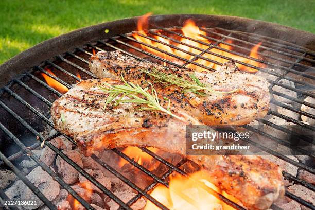 pair of pork chops searing over flame on round grill with rosemary garnish - metal grate stock pictures, royalty-free photos & images