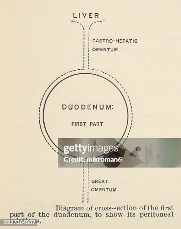 Old Engraved Illustration Of Diagram Of Cross Section Of The First Part ...