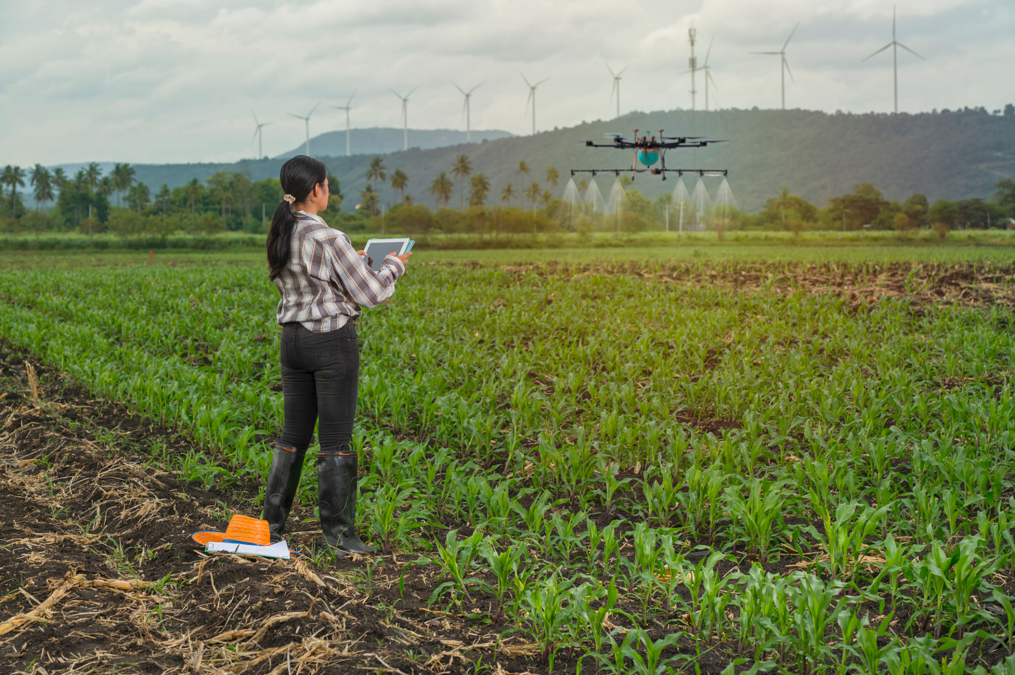 testing irrigation