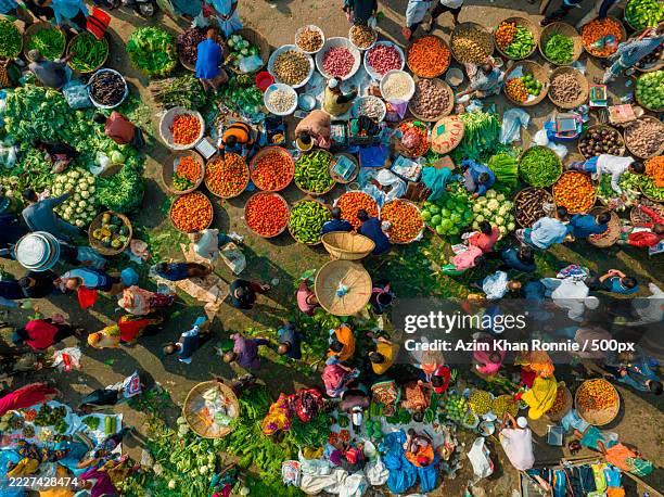 high angle view of farmers working at farm collecting fruits for market,bangladesh - bangladesh stock pictures, royalty-free photos & images