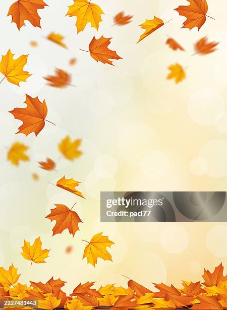 falling autumn leaves - herbst stock-grafiken, -clipart, -cartoons und -symbole