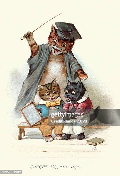 ilustrações de stock, clip art, desenhos animados e ícones de caricature, cartoon of teacher cat and two naughty kittens, victorian 19th century - filhote de animal