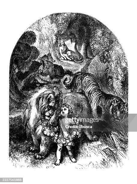 child with animals - tigers playing stock illustrations