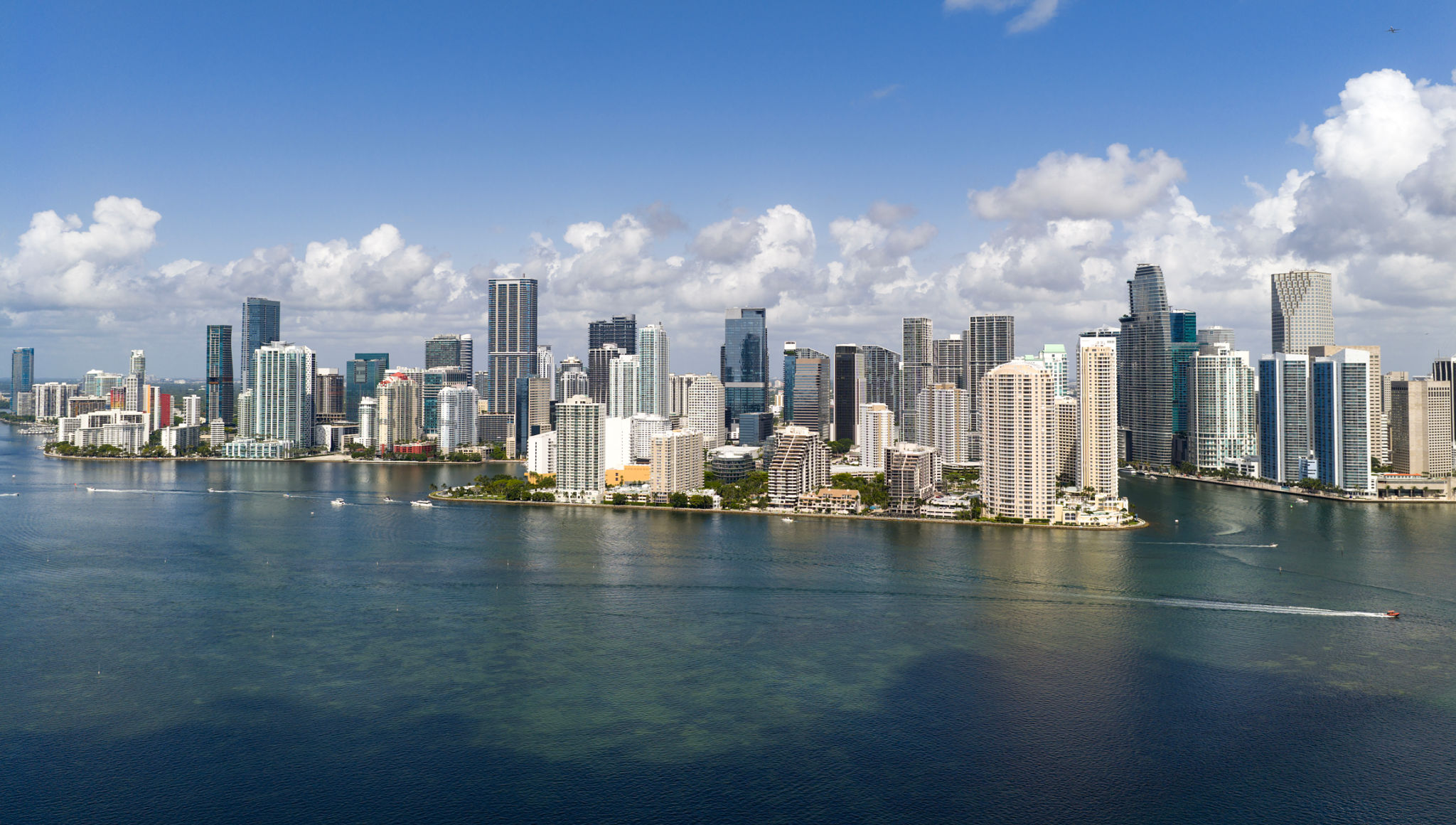 miami cityscape