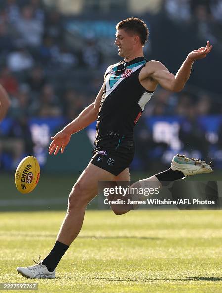 AFL Rd 21 - Geelong v Port Adelaide AFL Rd 21 - Geelong v Port Adelaide