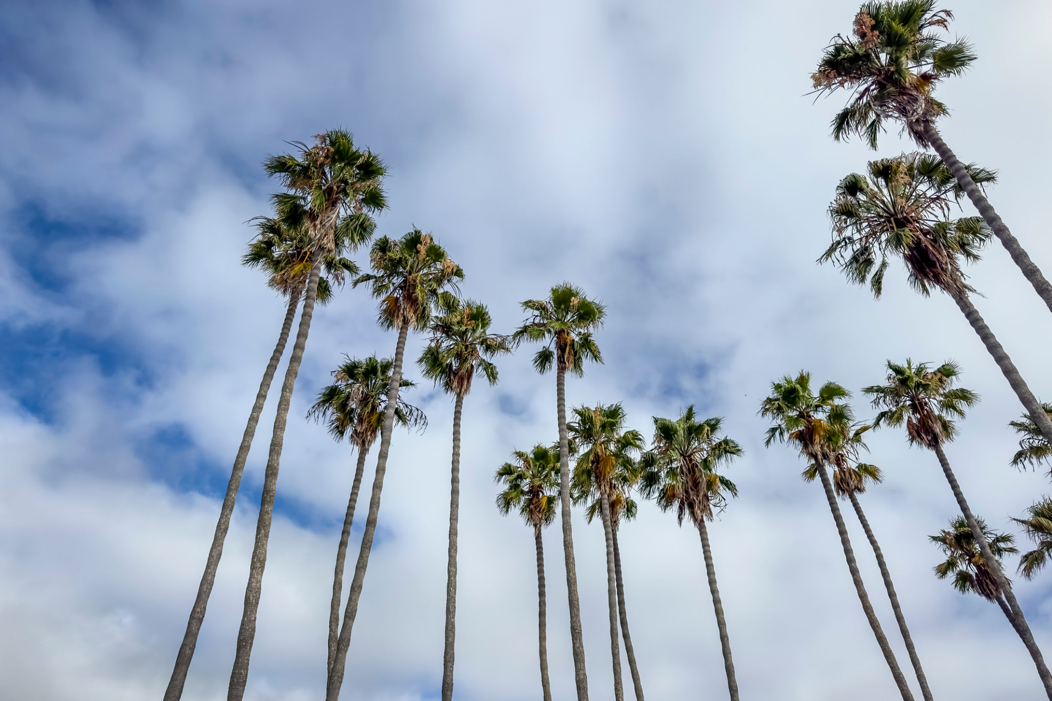 california climate