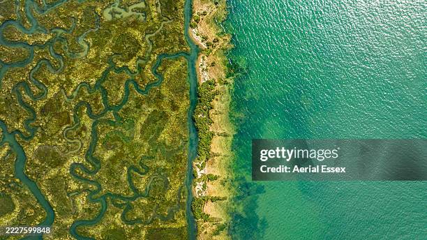 salt marsh from above - natural pattern stock pictures, royalty-free photos & images