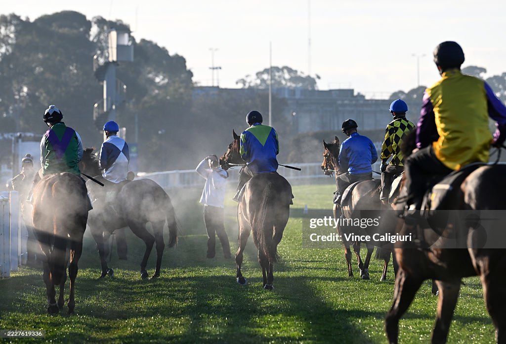 Caulfield Jumpouts