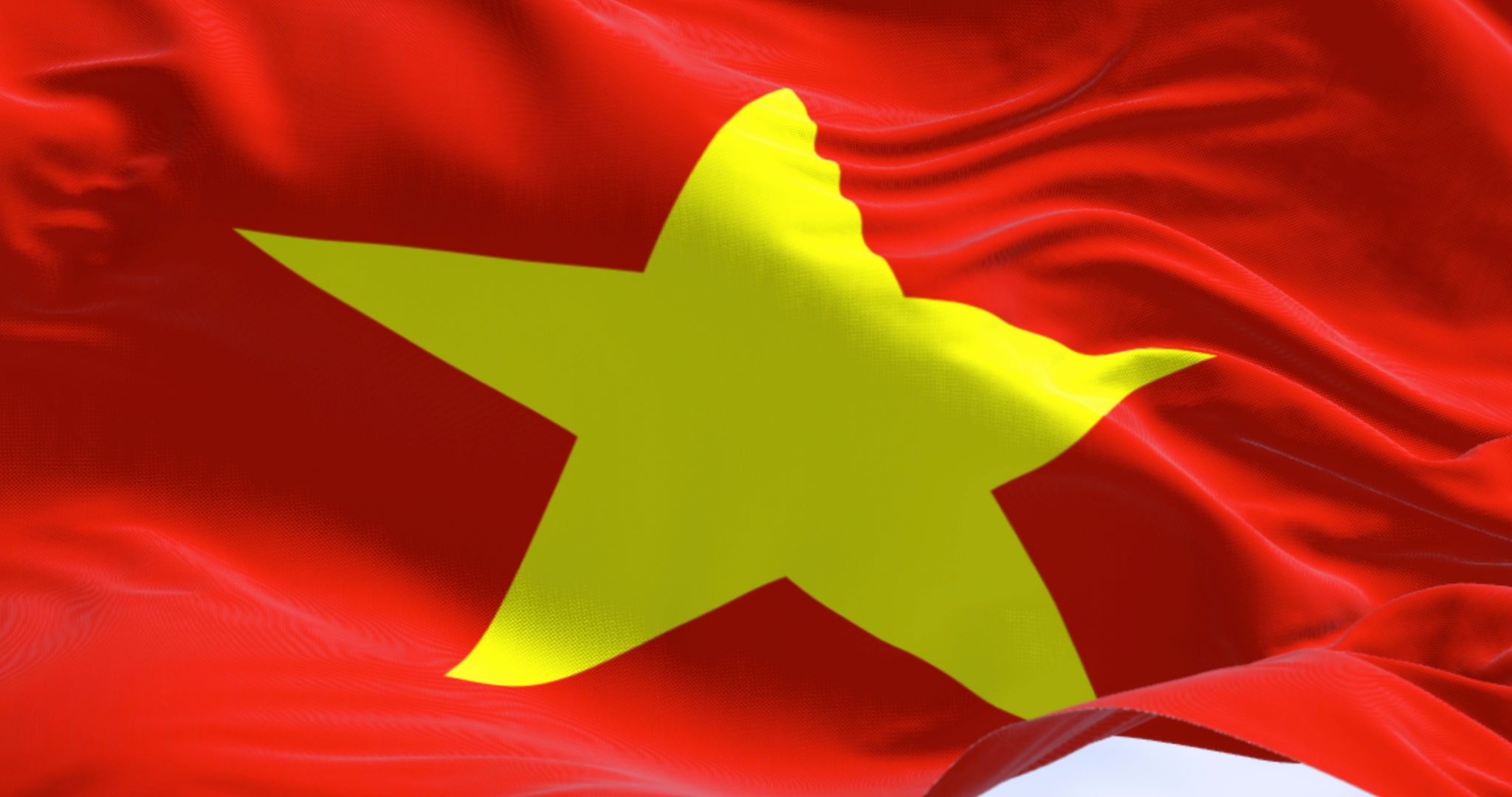 vietnam garment industry