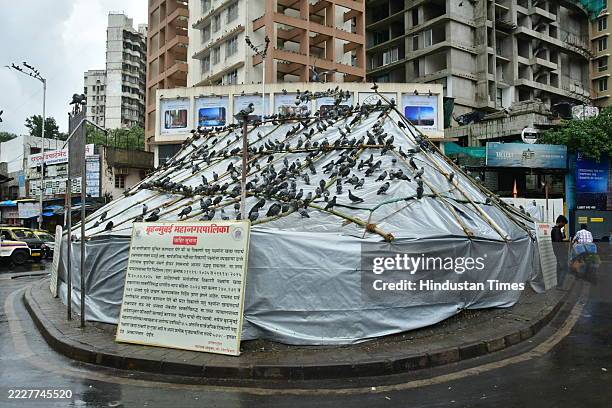 Authorities have closed the Dadar Kabutar Khana in Dadar West, from last night, following citizen complaints about air-borne diseases. This action is...