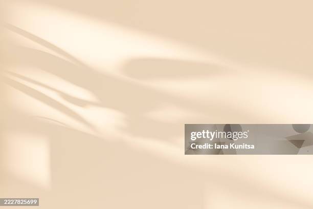 minimalist 3d background with soft natural sunlight and gentle plant and window shadows on beige, brown wall. tranquil backdrop, perfect for wellness, nature, interior design concepts. place for text. - fokus auf den hintergrund stock-fotos und bilder