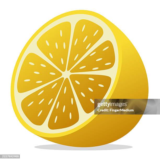 vector lime slice icon - lime slice stock illustrations