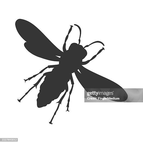 wasp icon - wasp stock illustrations
