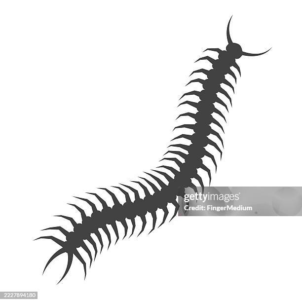 centipede icon - giant centipede stock illustrations