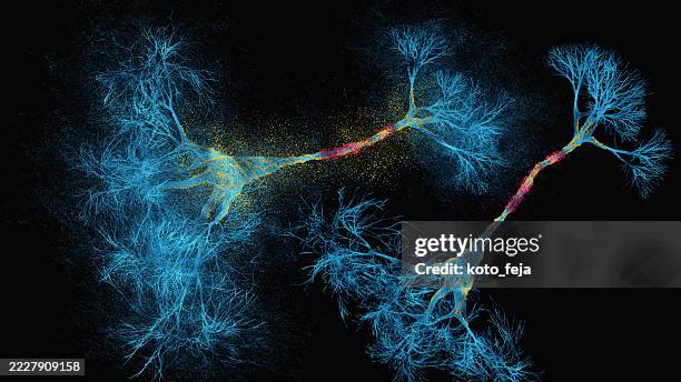 neuron system disease - multiple sclerose stockfoto's en -beelden
