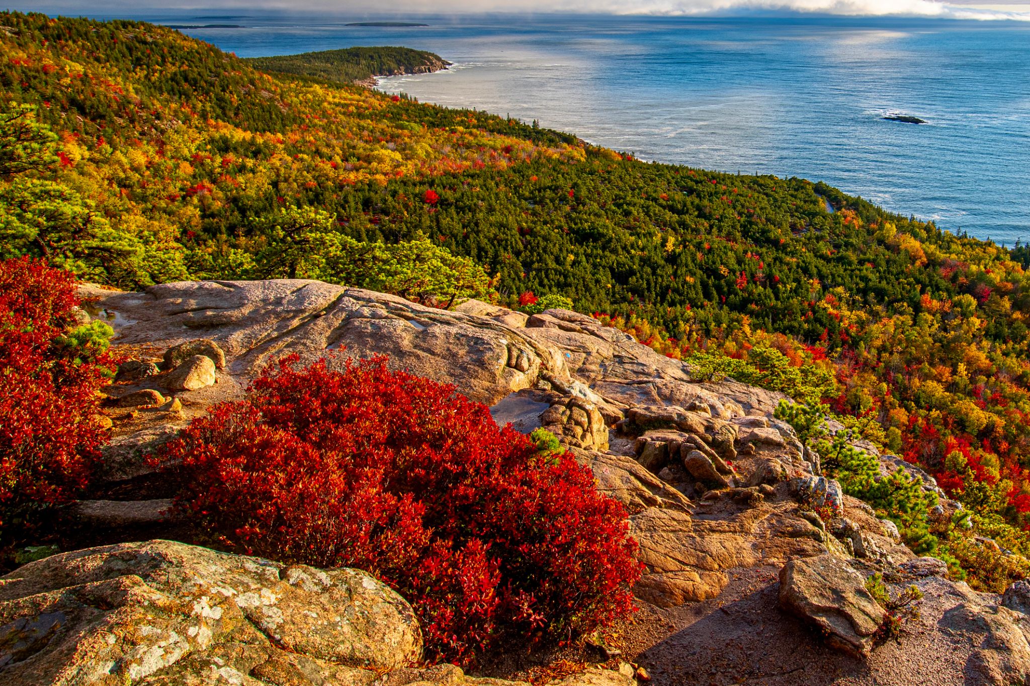 acadia national park trail