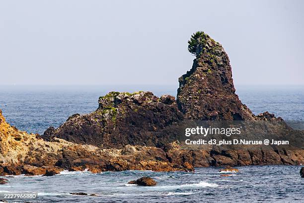 scenery from the bus window.a strange rock that is a little famous for looking like godzilla. - onsen tokyo stock pictures, royalty-free photos & images