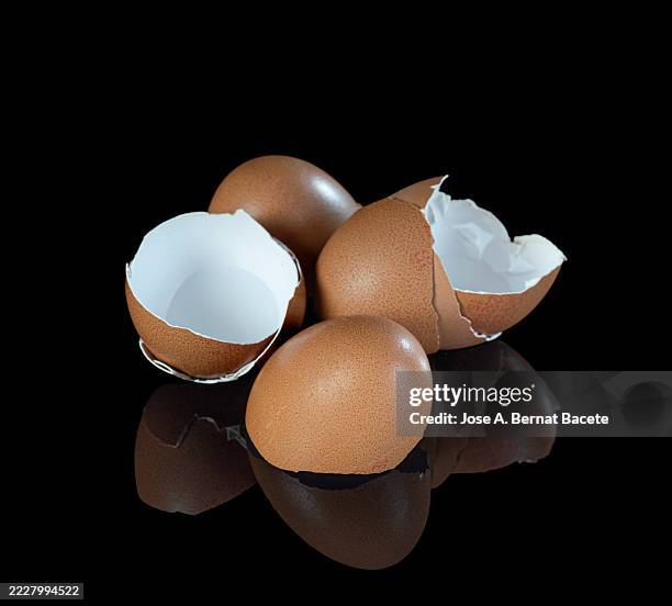 shells of three chicken eggs reflected on a black background. - eggshell stock pictures, royalty-free photos & images