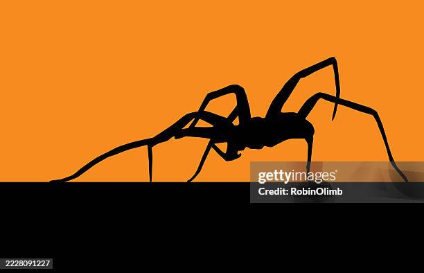 creepy black spider icon - spider stock illustrations