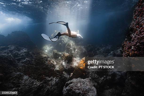 a freediver glides effortlessly over a rugged coral reef, bathed in soft sunlight filtering through the ocean's surface above. - rock formation stock pictures, royalty-free photos & images