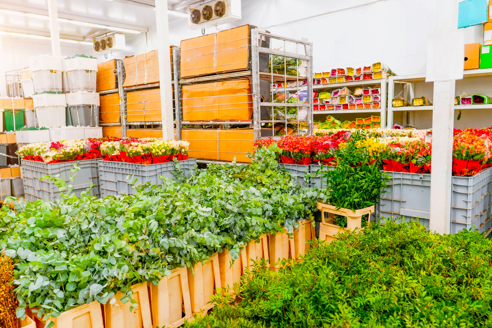 spring home market