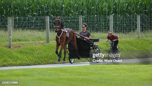 Amish Racing 510 Amish Country Farm Scene Stock Photos, High-Res Pictures, and ...