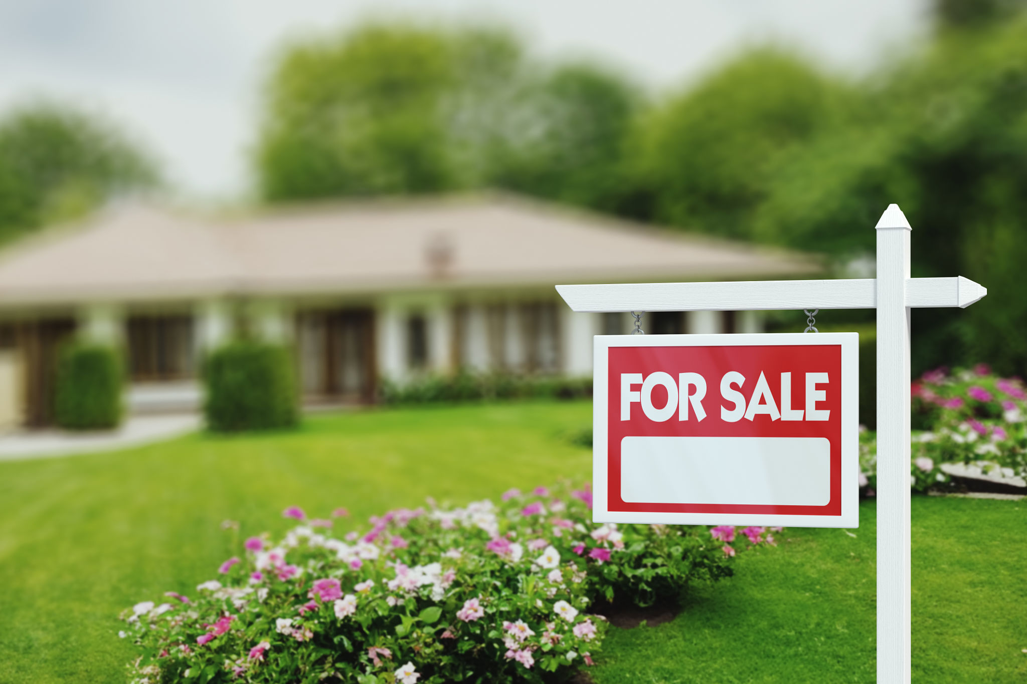 house for sale