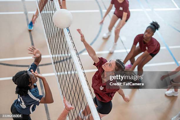 energetic female volleyball match in a competitive indoor gym setting - gameplay stock pictures, royalty-free photos & images