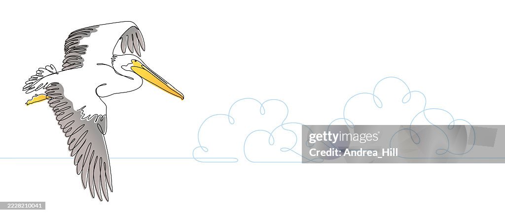 Pelican Flying with Clouds Continuous Line Drawings in Banner Style
