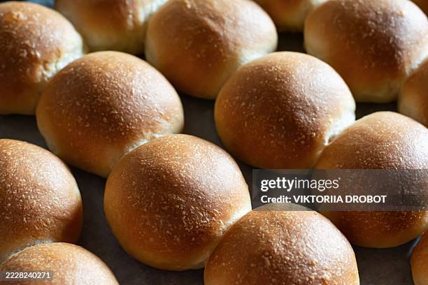 ukrainian bread with garlic and dill, pampushki for borscht. traditional ukrainian cuisine. pulled braed - lievito naturale foto e immagini stock
