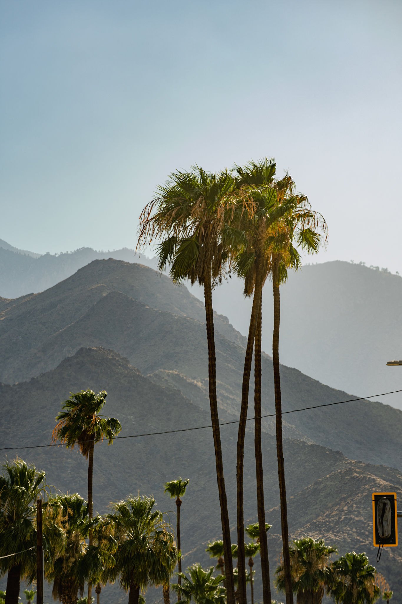 palm springs landscape