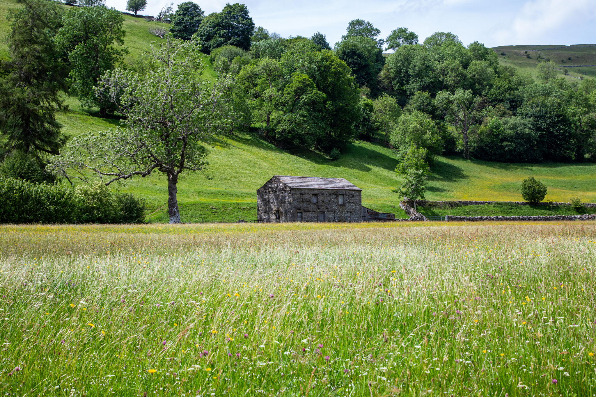 Yorkshire Dales landscape