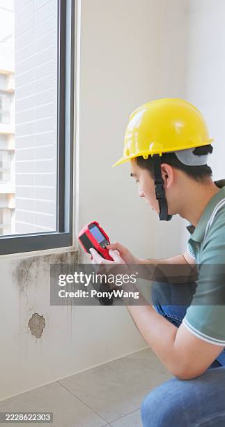 home inspector use thermal imager - aspergillus stock pictures, royalty-free photos & images