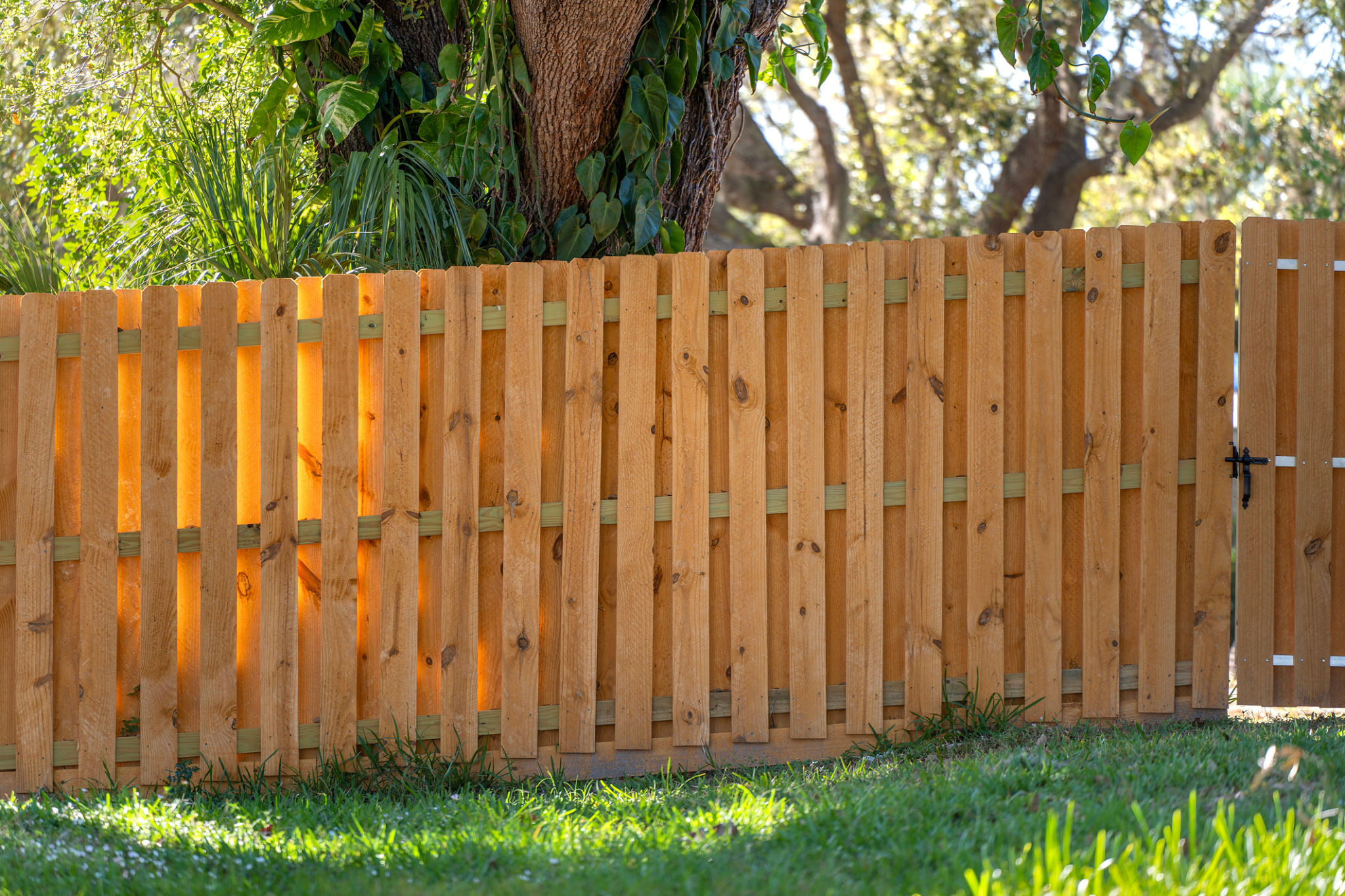 fence installation