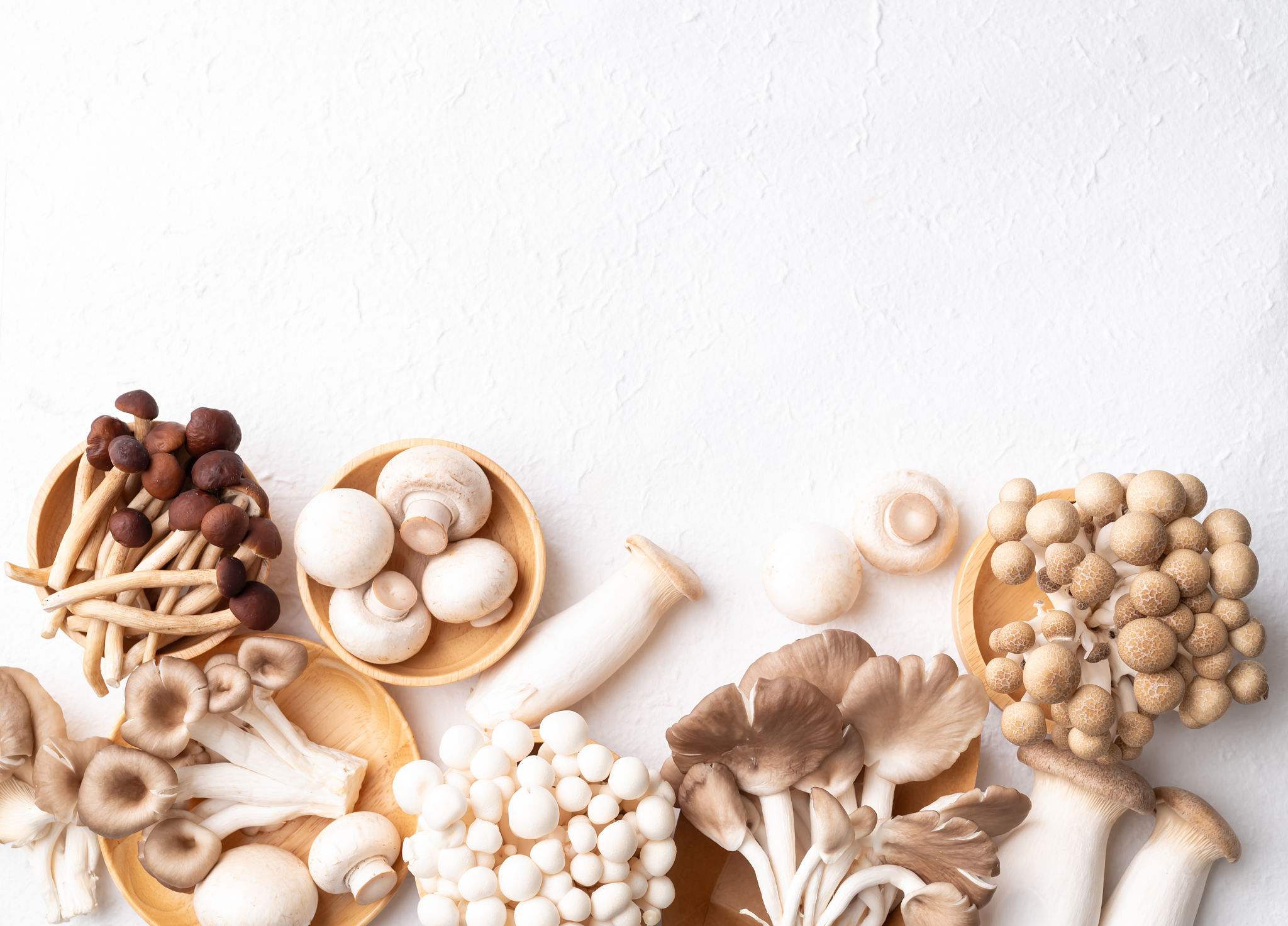 mushrooms nutrition