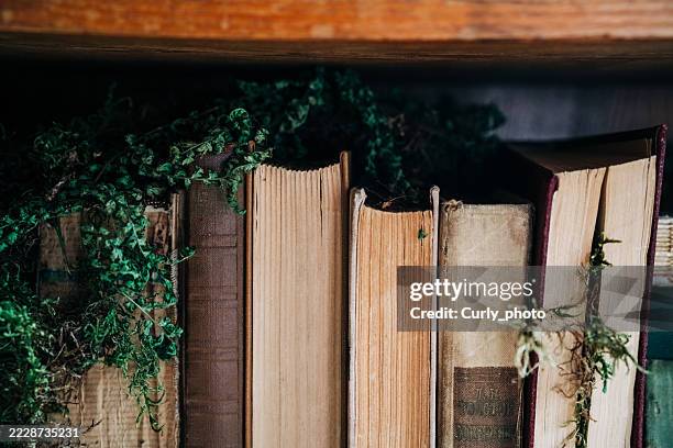 a mysterious library that combines the magic of nature and knowledge. - mensola per libri foto e immagini stock