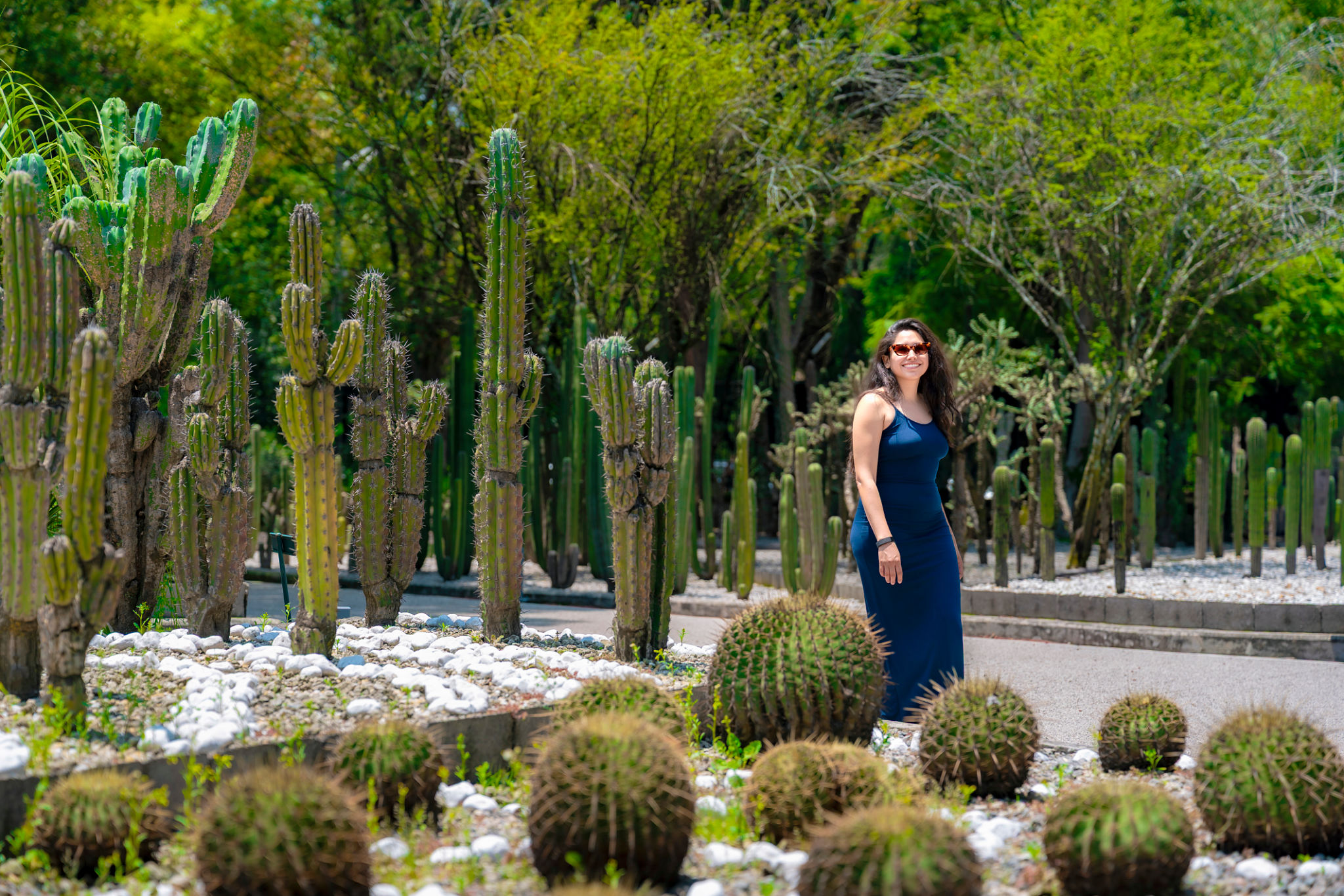 botanic garden