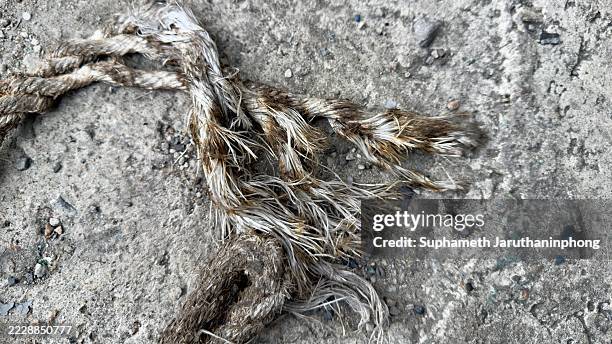 String Unraffled 100 Unraveled String Stock Photos, High-Res Pictures, and Images ...