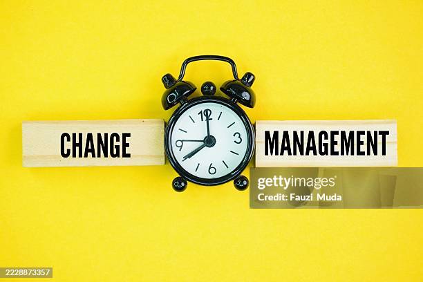 leadership agility