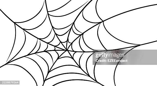 simple illustration spider web. halloween themed spiderweb background. line art spiderweb. spooky and scary graphic element - spider dangling stock illustrations