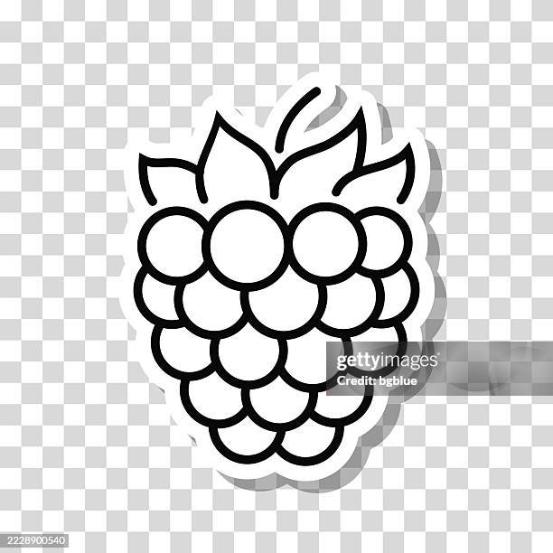 raspberry. icon sticker on blank background - raspberry stock illustrations