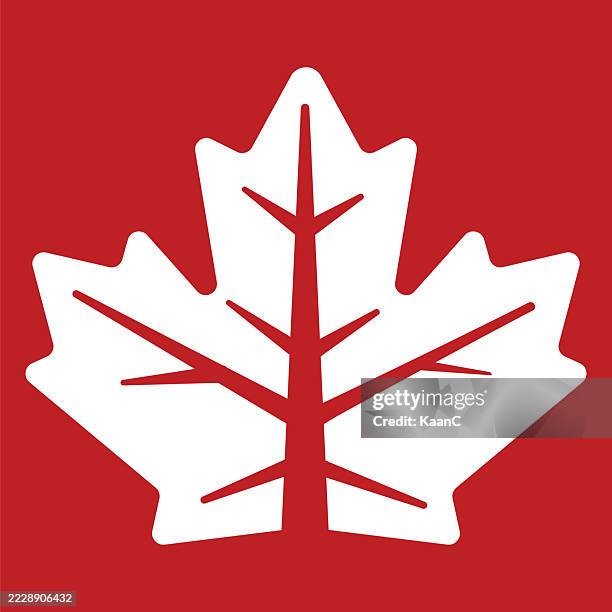 Lef Shape Vector Abstract Maple Leaf Shape Concept Design Abstract Leaf Vector ...