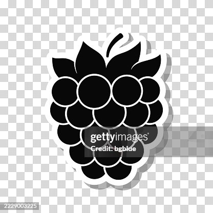 Raspberry. Icon sticker on blank background Raspberry. Icon sticker on blank background