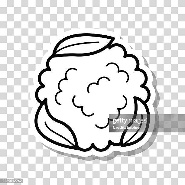 cauliflower. icon sticker on blank background - cauliflower isolated stock illustrations