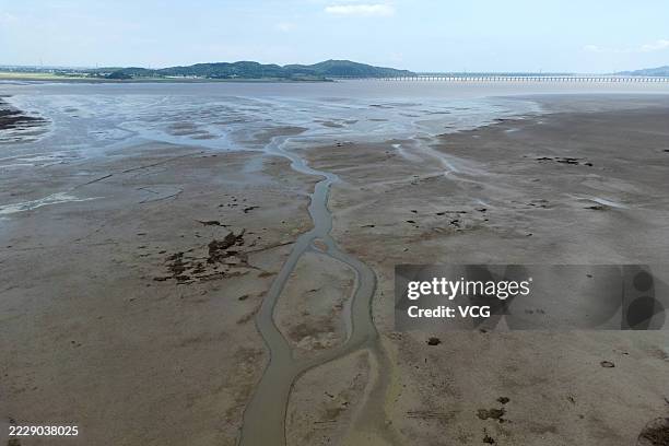 Aerial view of the Poyang Lake at low water level on August 8, 2025 in Jiujiang, Jiangxi Province of China. As of 8 a.m. On August 8, the water level...