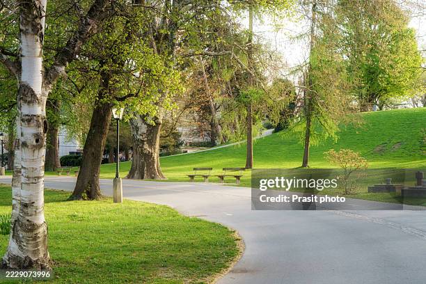 winding park pathway with wooden benches - jardim público imagens e fotografias de stock