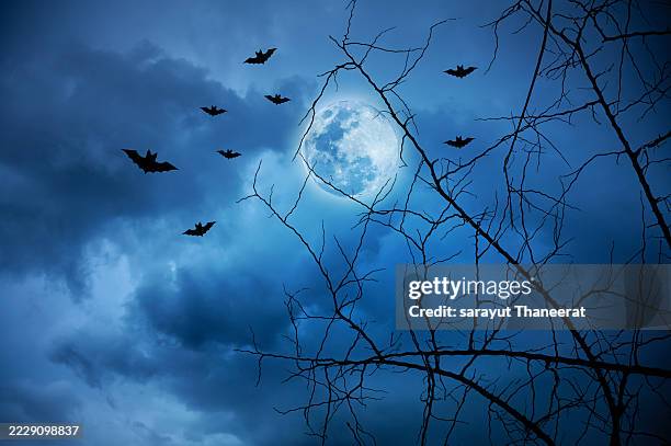 halloween night graveyard zombie hands full moon lightning horror background. zombie hands rising graveyard halloween night full moon bats. spooky cemetery scene thunder moonlight horror halloween - spooky stock pictures, royalty-free photos & images